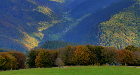 Schauinsland_View